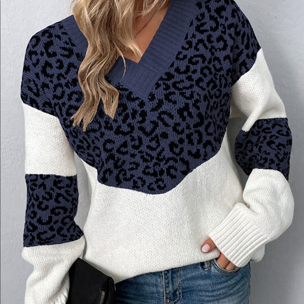 Leopard Color Block V-Neck Ribbed Trim Sweater - Picture 7 of 10
